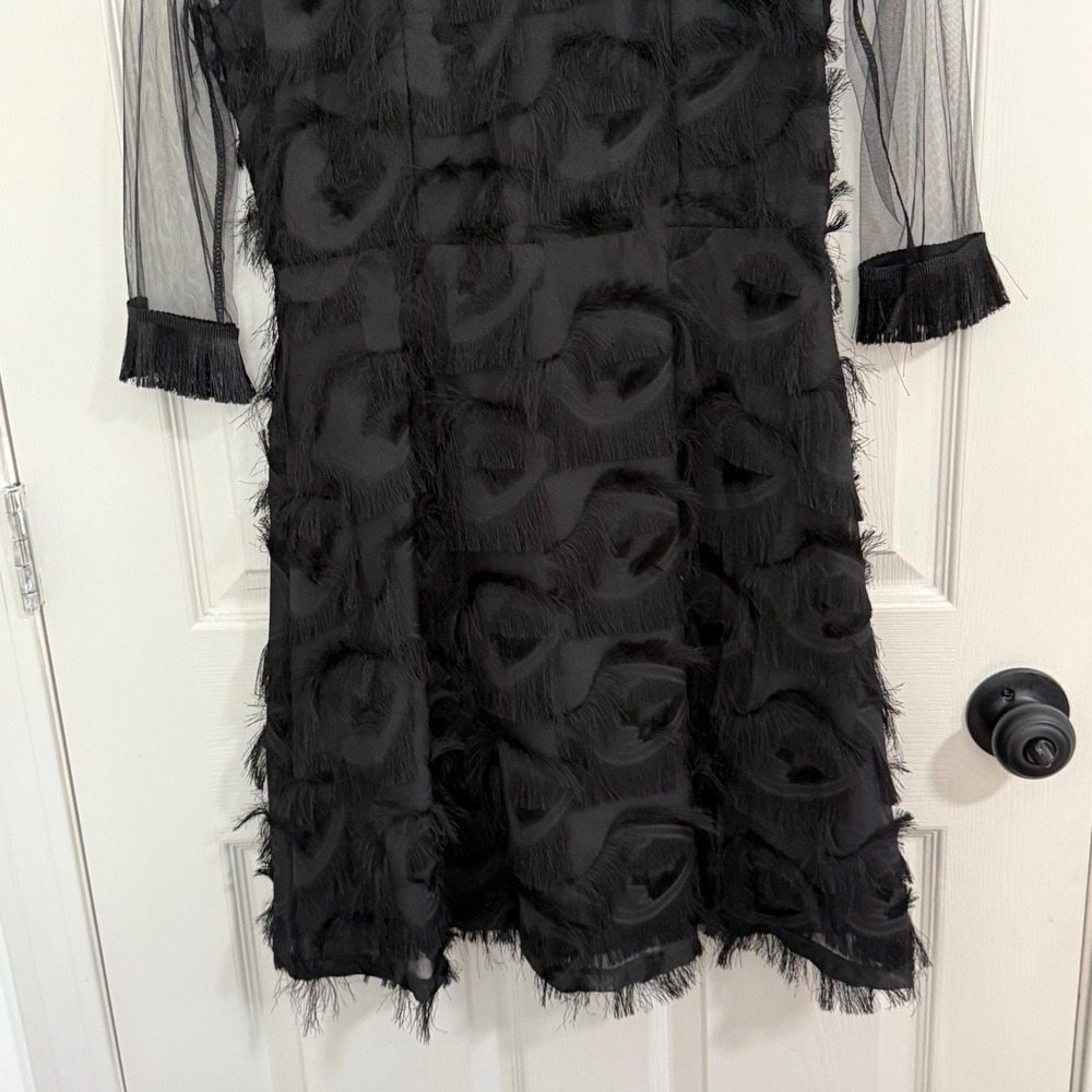 Whimsigoth Dress Womens XS Black Eyelash Fringe Mesh Yoke Cocktail LBD Gothic - Picture 6 of 10
